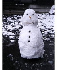 初雪