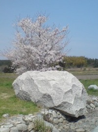花見