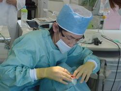 Implant