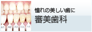 憧れの美しい歯に 審美歯科