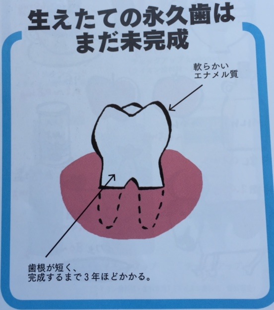 虫歯予防週間