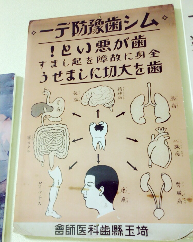 『歯』の博物館