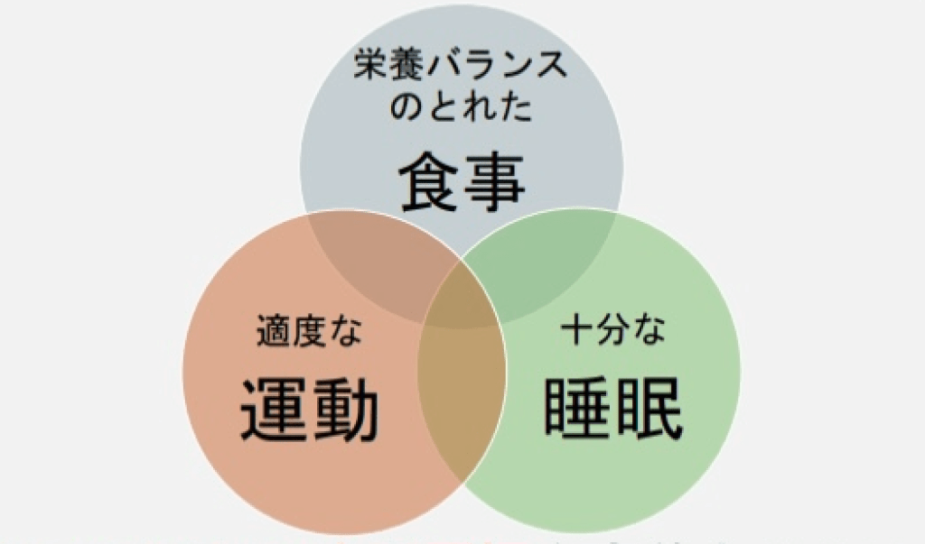 しっかり噛める歯で楽しく健康的な食生活を送りましょう♪のイメージ