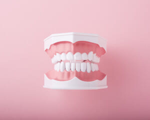 入れ歯とインプラントの違いは何ですか？のイメージ